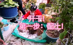 Скачать видео: 春天终于来啦!马上就要回家过年了，年前还要为花草大干一场-换盆换土!