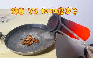 Télécharger la video: 将1000度“沙子”倒在“蟑螂”上，会发生什么呢？