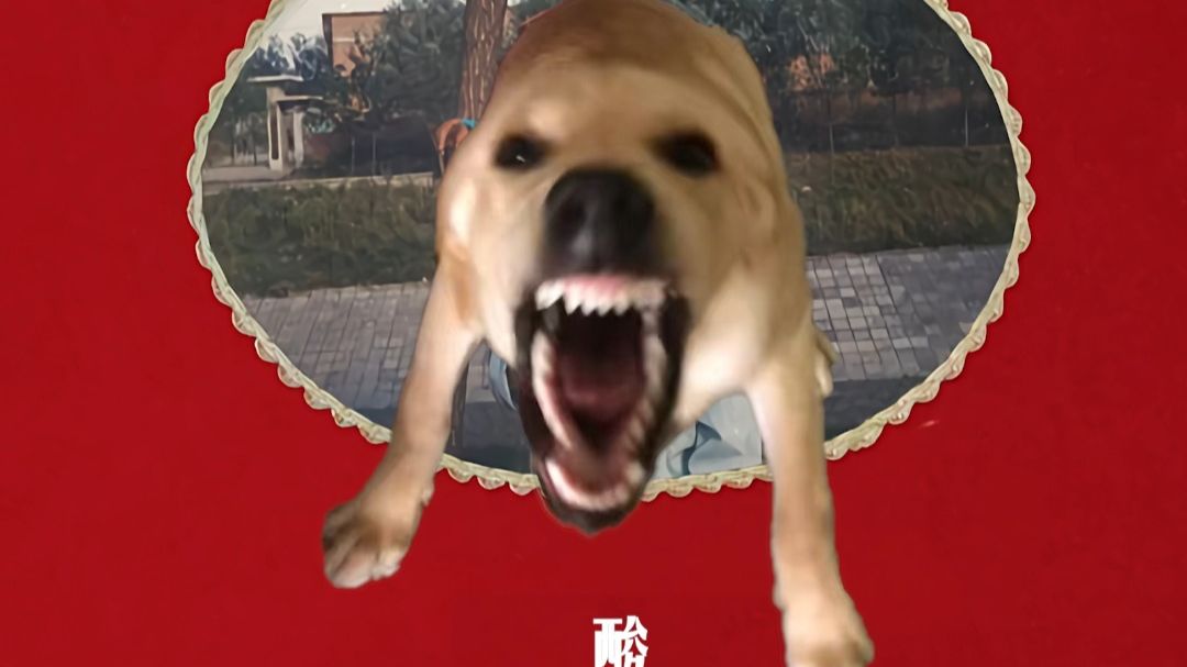 大狗桥