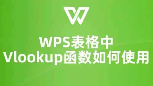 WPS表格VLOOKUP函数大揭秘，让你的数据查询更简单！