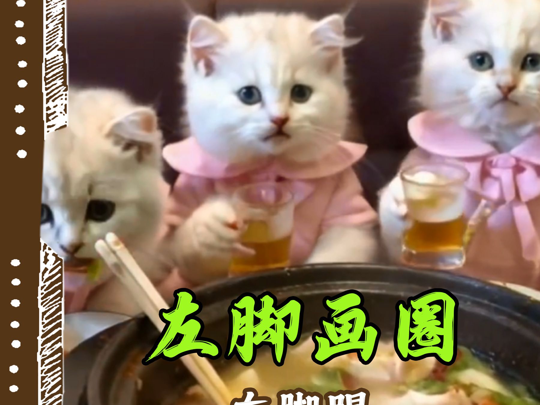 左脚画圈右脚踢的小猫咪哔哩哔哩bilibili