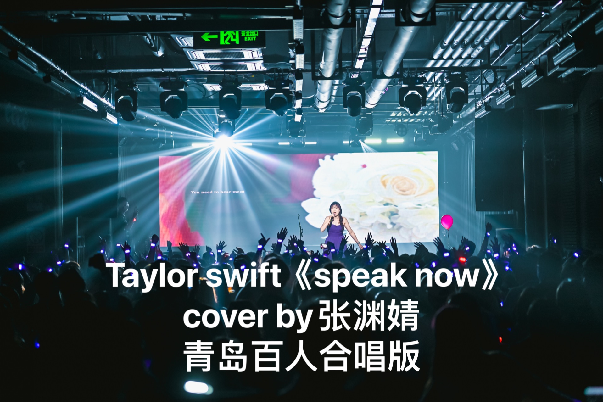 speaknow壁纸图片