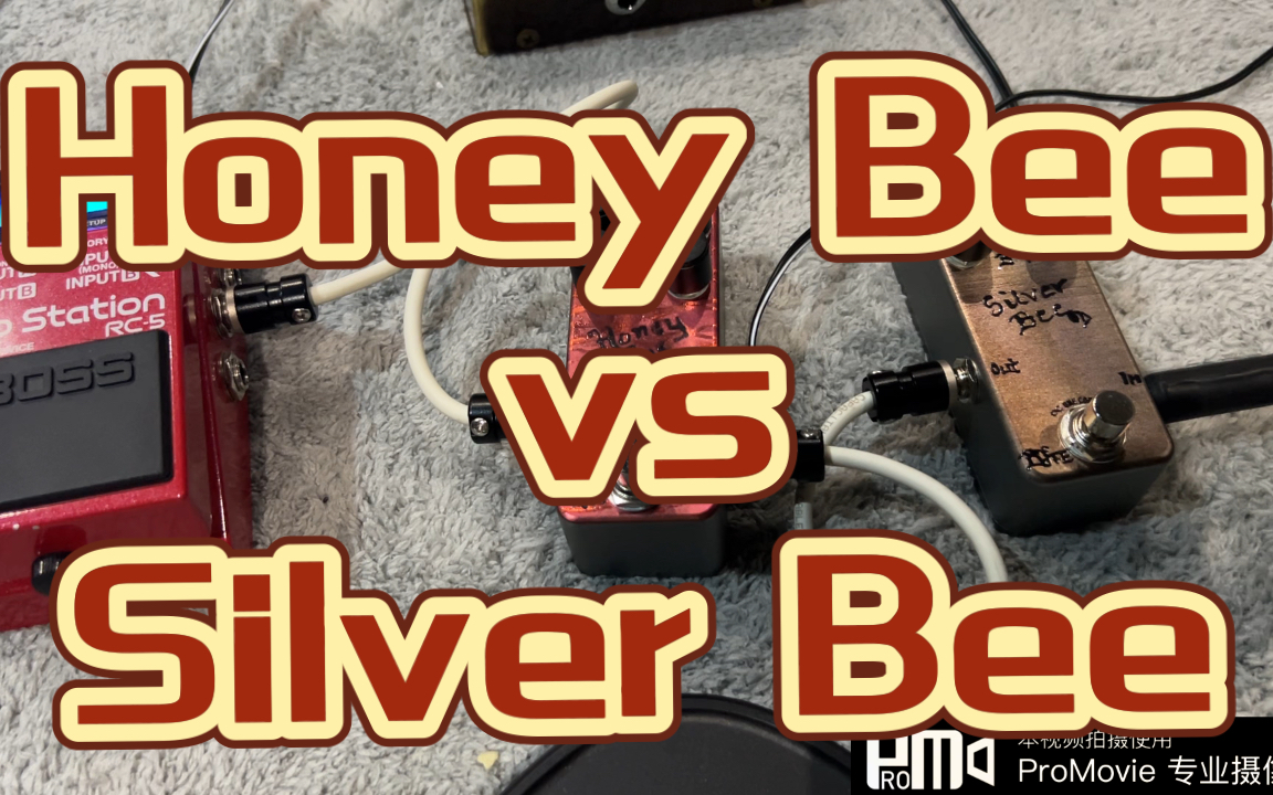 【我就蹭蹭】两只蜜蜂Honey Bee vs Silver Bee哔哩哔哩bilibili