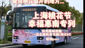 “驶向桃花盛开的地方”上海桃花节幸福惠南专列 拱秀路城西路→谈北路陈家宅路(海沈村) 前挡pov