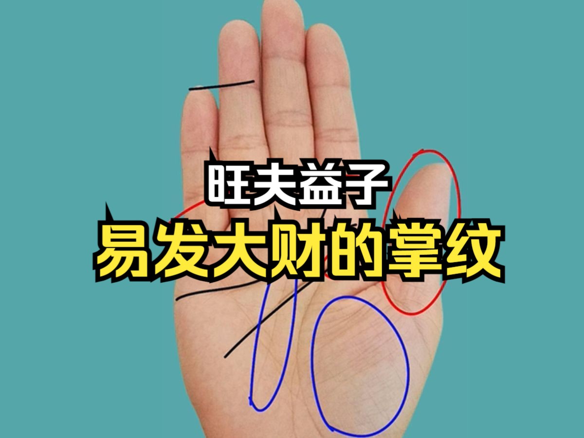 易发大财的掌纹