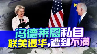 Descargar video: 为什么不经允许就反华！欧盟现重大分歧，美国“傀儡”要被撅了