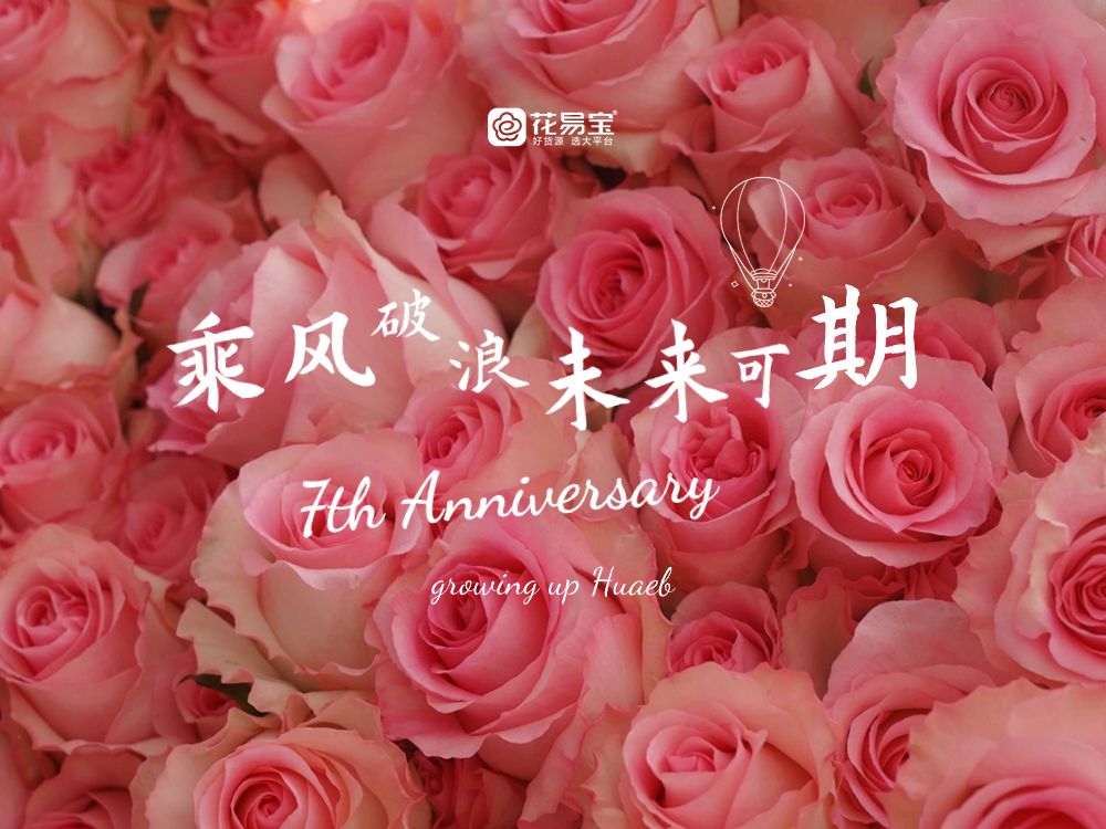 花易宝七周年|乘风破浪 未来可期!哔哩哔哩bilibili