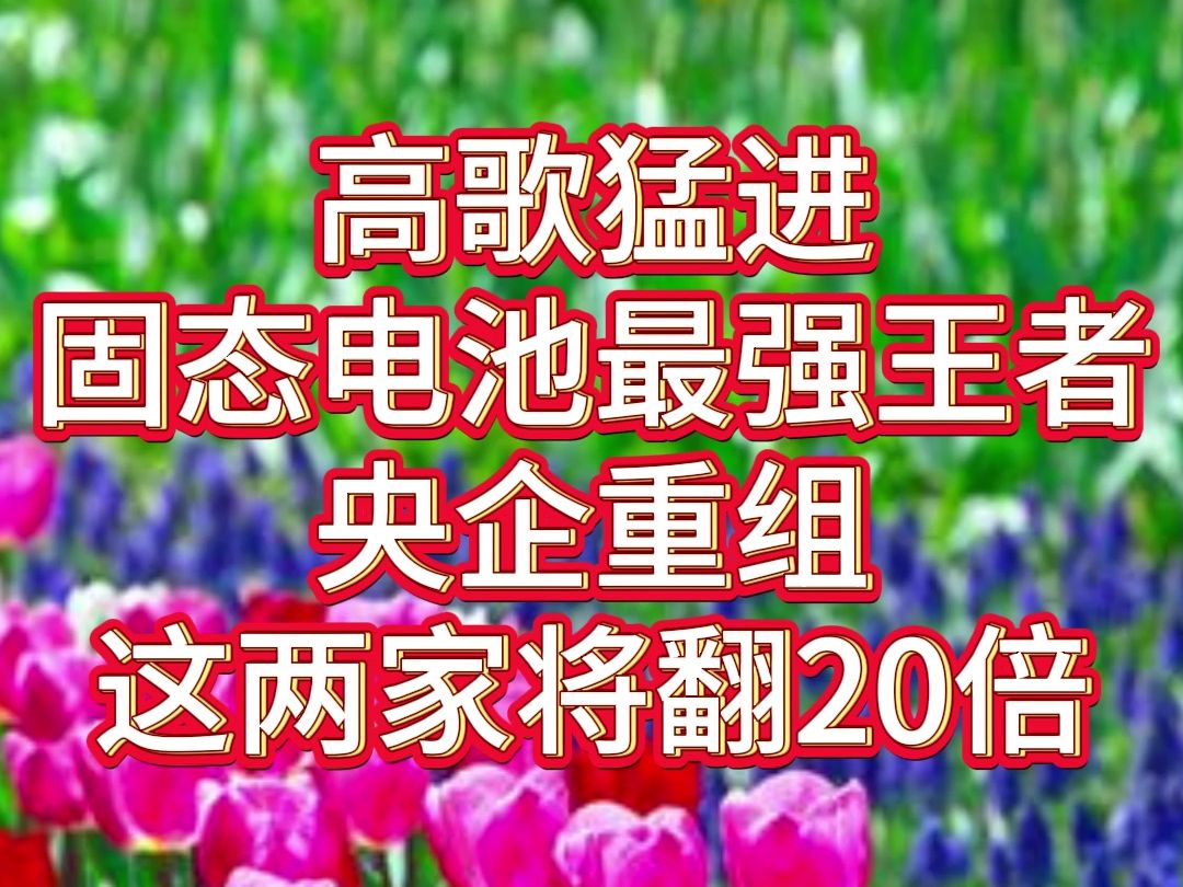 高歌猛进!固态电池最强王者央企重组,这两家将翻20倍!哔哩哔哩bilibili