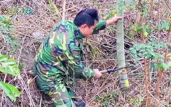 [图]90后这个尴尬的年纪上有老下有小，下定决心回家陪伴家人孩子