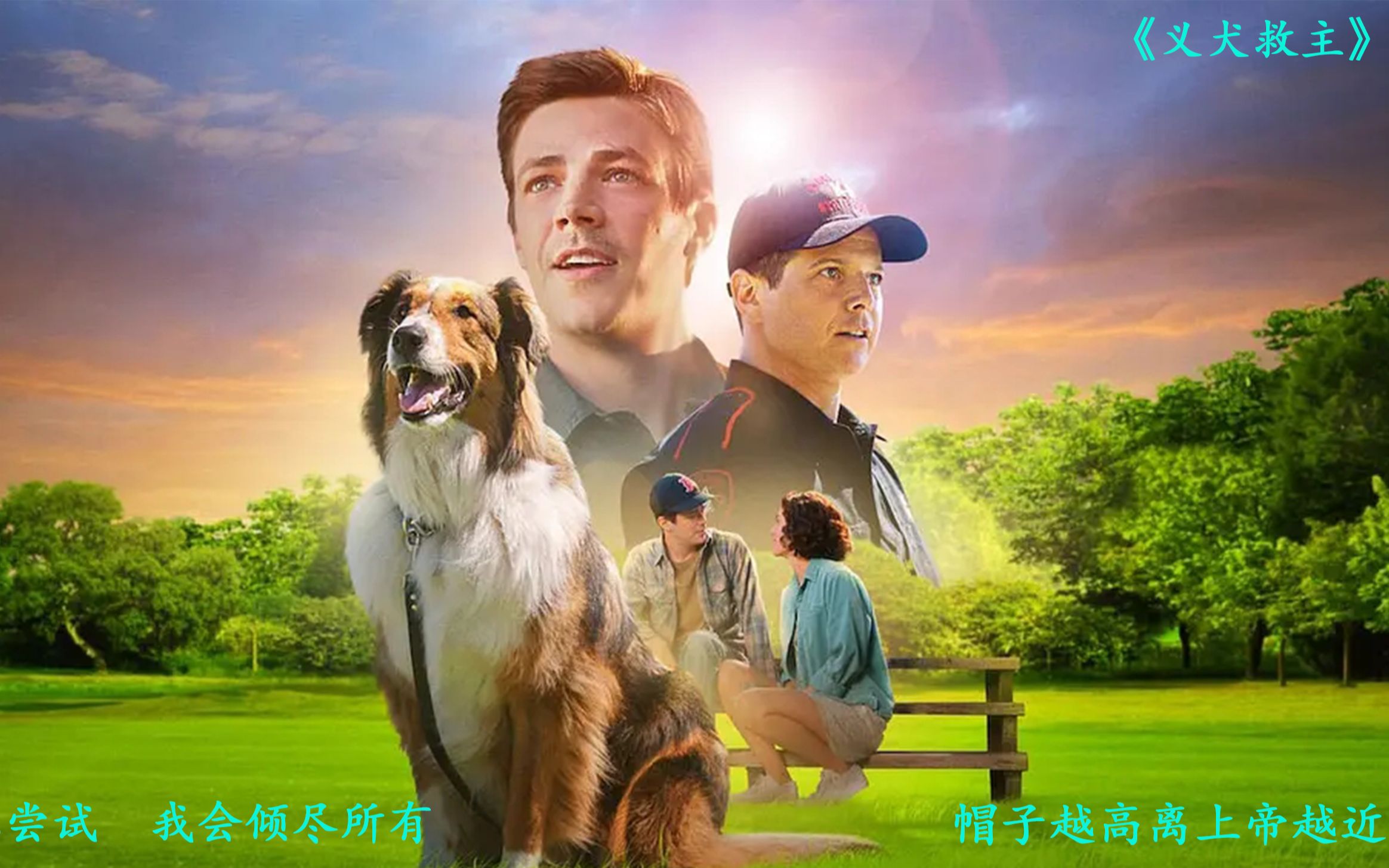 [图]义犬救主：继忠犬八公之后又一部神作，合称忠义两全，值得一看！！！