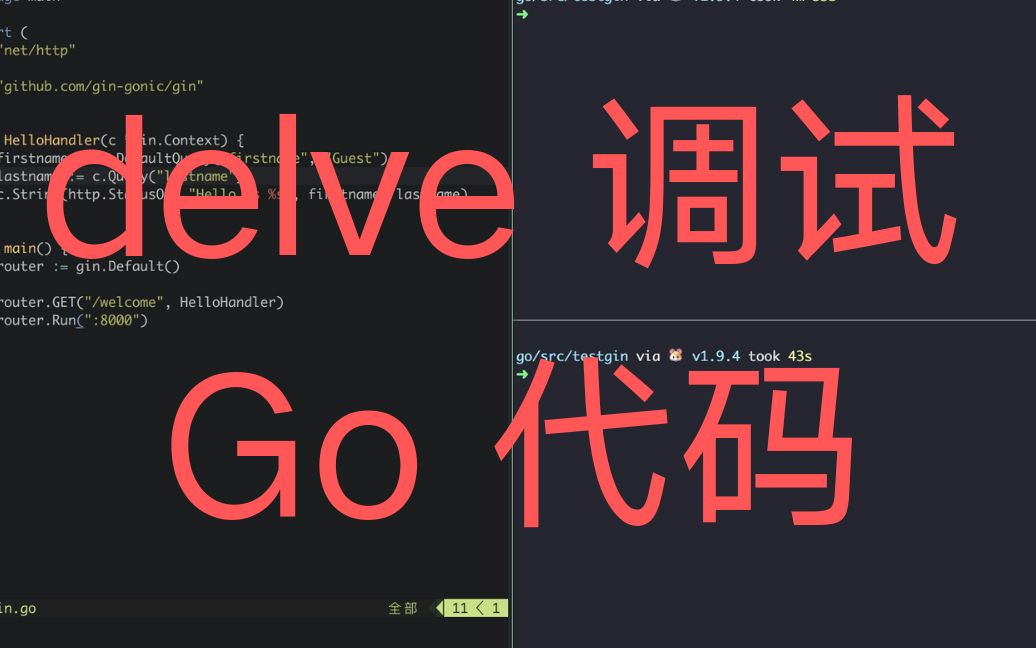 delve 调试 go 代码,让 go 调试不再 X 疼哔哩哔哩bilibili