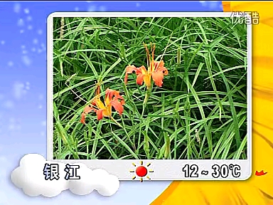 广东梅州大埔广播电视台时政综合频道《天气预报》2011年4月1日哔哩哔哩bilibili