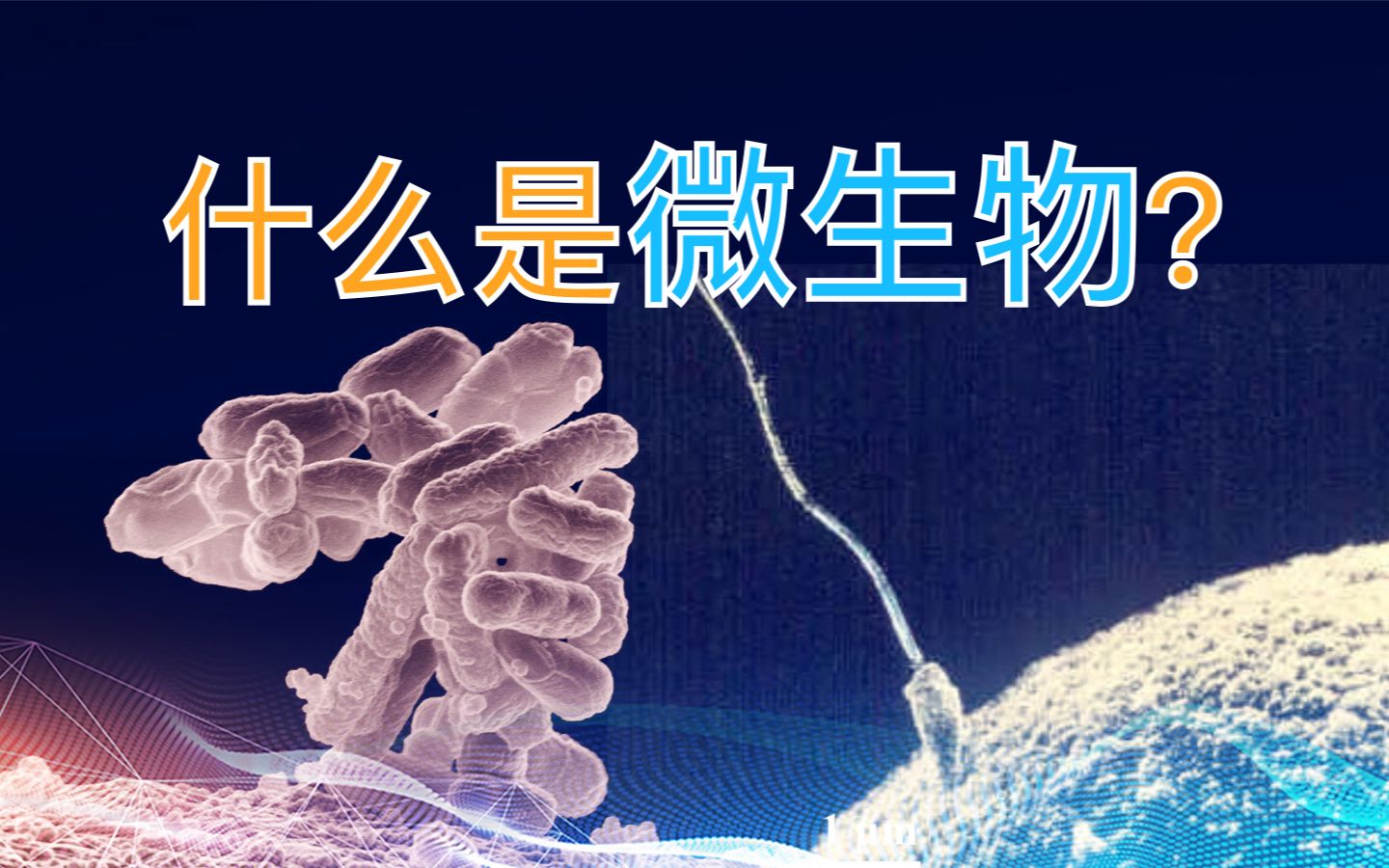 微生物是如何被发现的?什么是巴氏灭菌法?哔哩哔哩bilibili