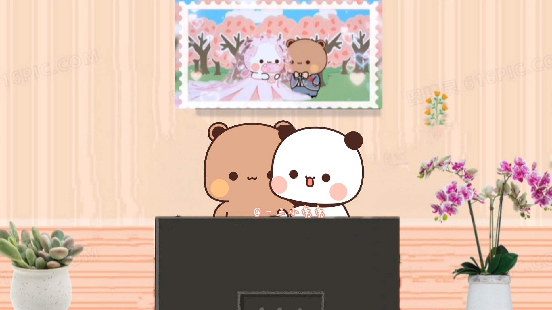 一二布布乖乖宅家追剧的一天