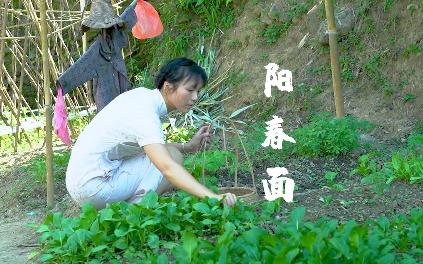 阳春面阳春面:一把细面,半碗高汤,五钱猪油,一勺酱油,烫上两棵挺括脆爽的小白菜.哔哩哔哩bilibili