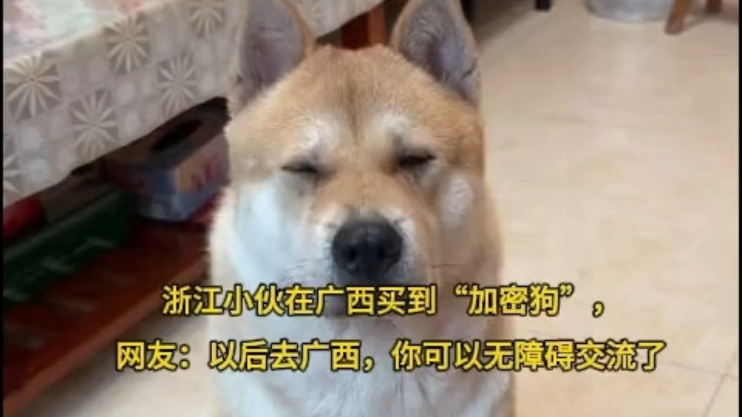 浙江小伙在广西买到“加密狗”，网友：以后去广西，你可以无障碍交流了