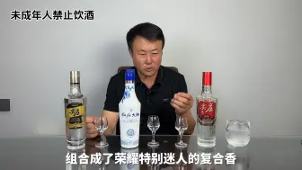 Video herunterladen: 叙府青花尖庄高光挑战尖庄荣耀