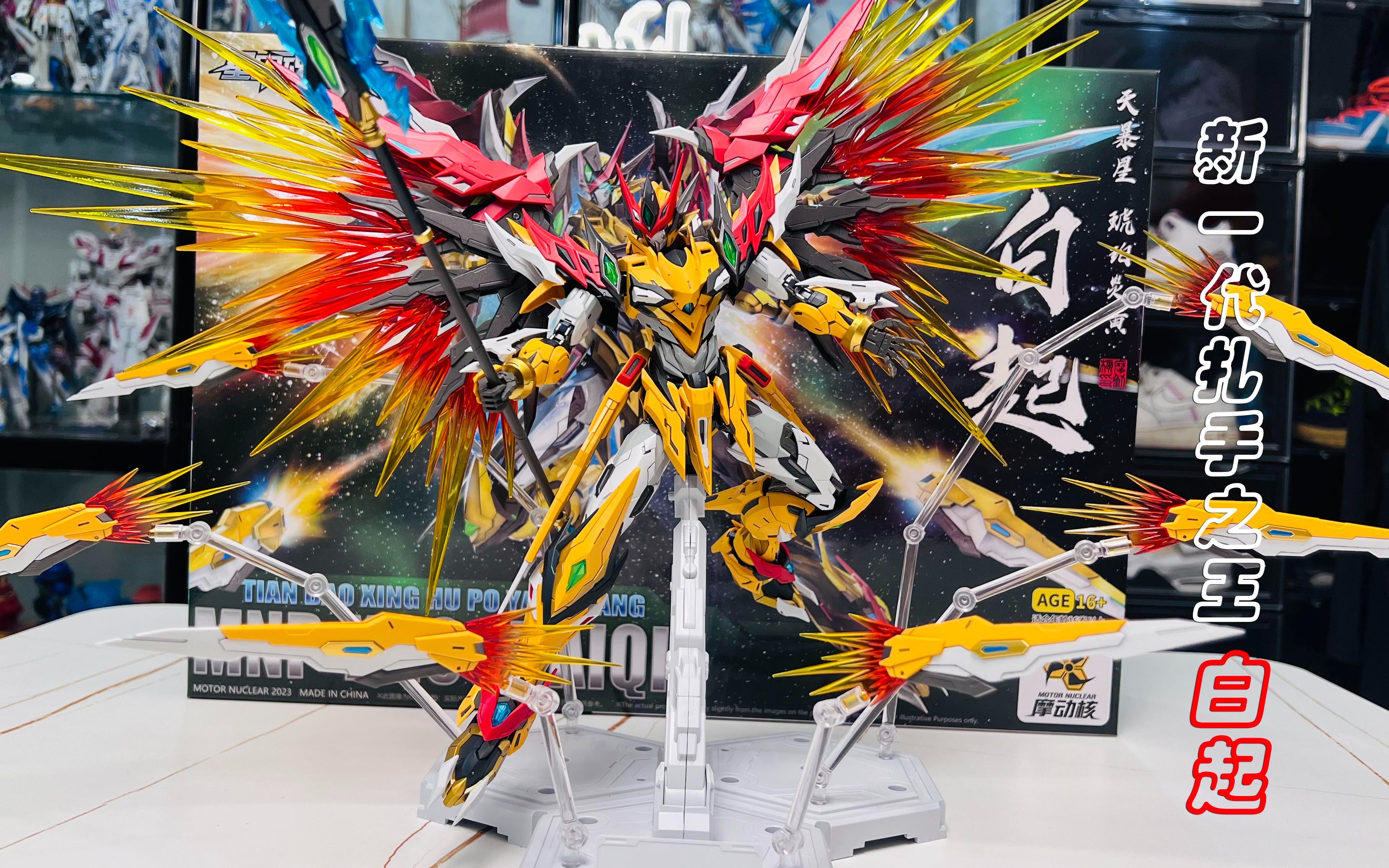 国模——摩动核海胆三兄弟之白起