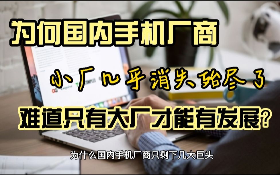 [图]为啥国内小而美手机厂商几乎消失殆尽了，难道只有大厂才能存活吗