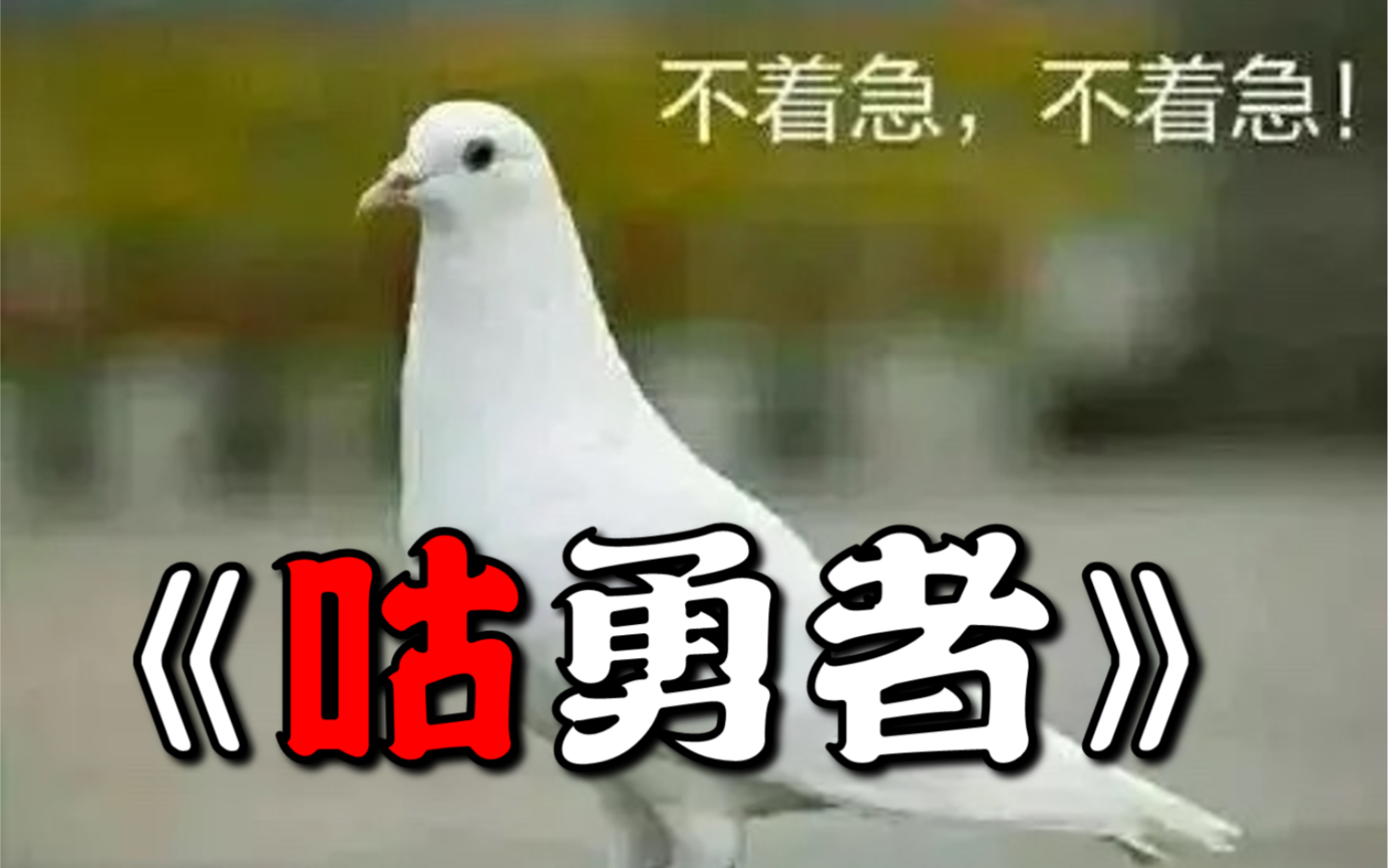 【鸽子版】孤勇者哔哩哔哩bilibili