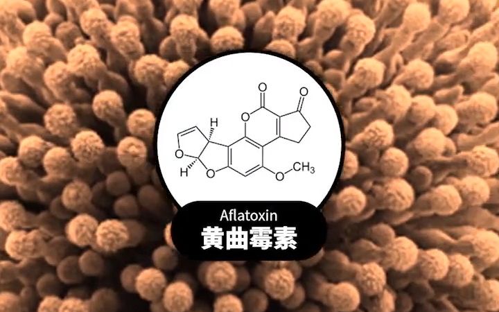 [图]如果你不小心吃下霉菌会怎么样？这取决于你吃的是那种霉菌