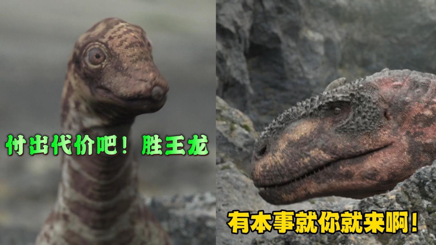 可恶!胜王龙我一定要让你付出代价!