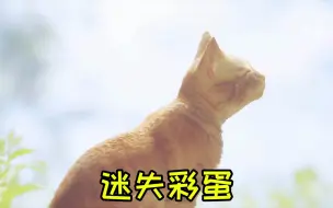 Descargar video: 猫咪冒险游戏迷失彩蛋