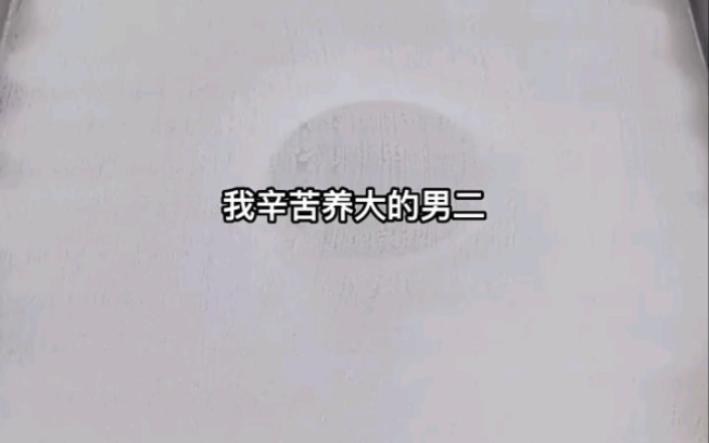 小说推荐《槿槿花海》哔哩哔哩bilibili