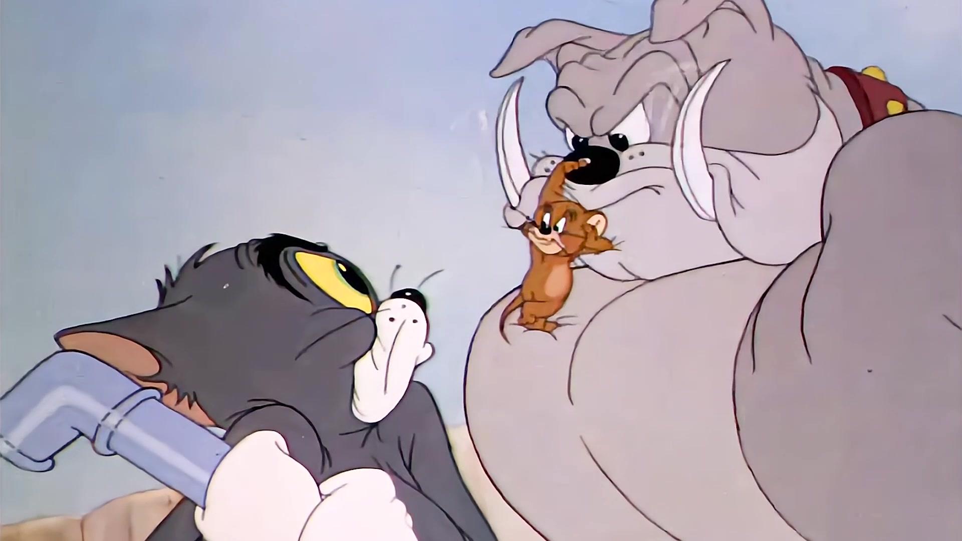 猫和老鼠:汤姆为了防止杰瑞吹口哨叫癞皮狗帮忙,用泡泡糖堵住了它的嘴