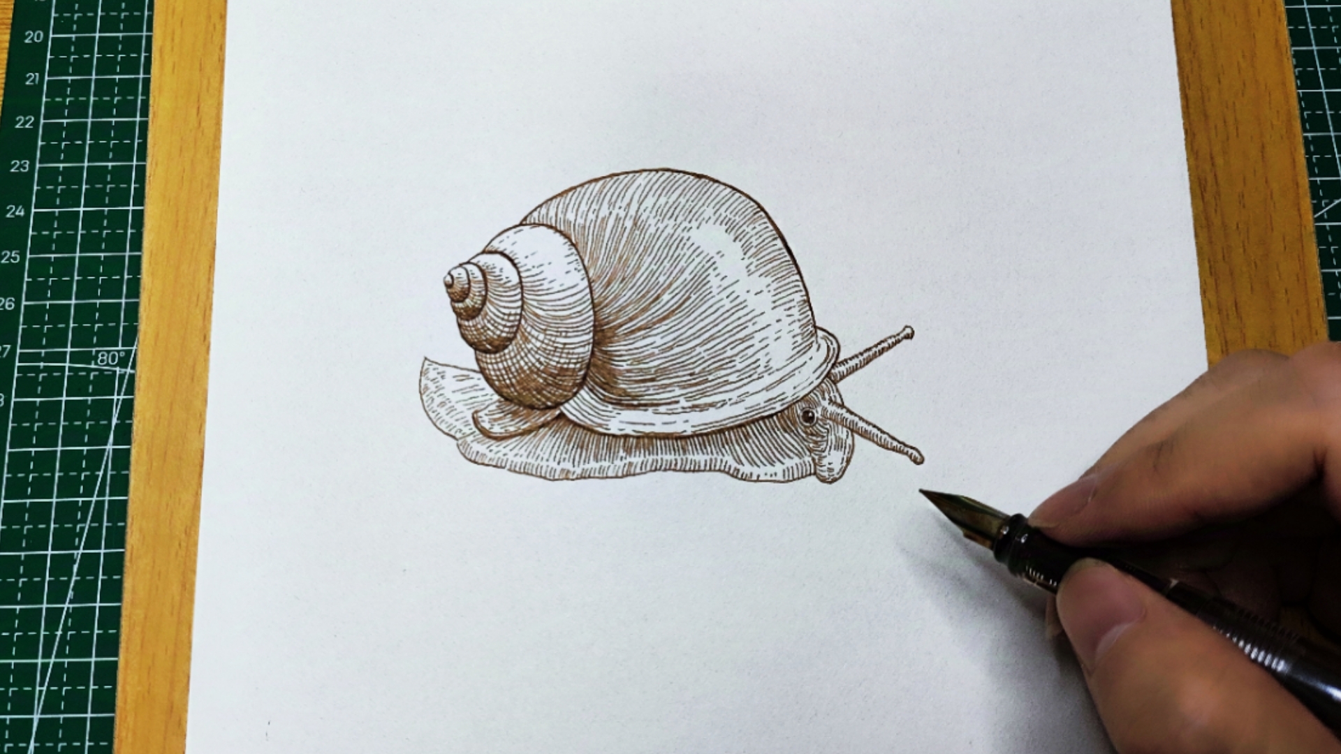 【练习209】蜗牛