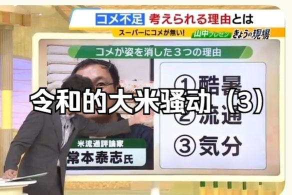 【日语学习】日本的大米稀缺是由什么造成的?灾害时大米会帮上忙吗?令和的大米骚动(3)哔哩哔哩bilibili