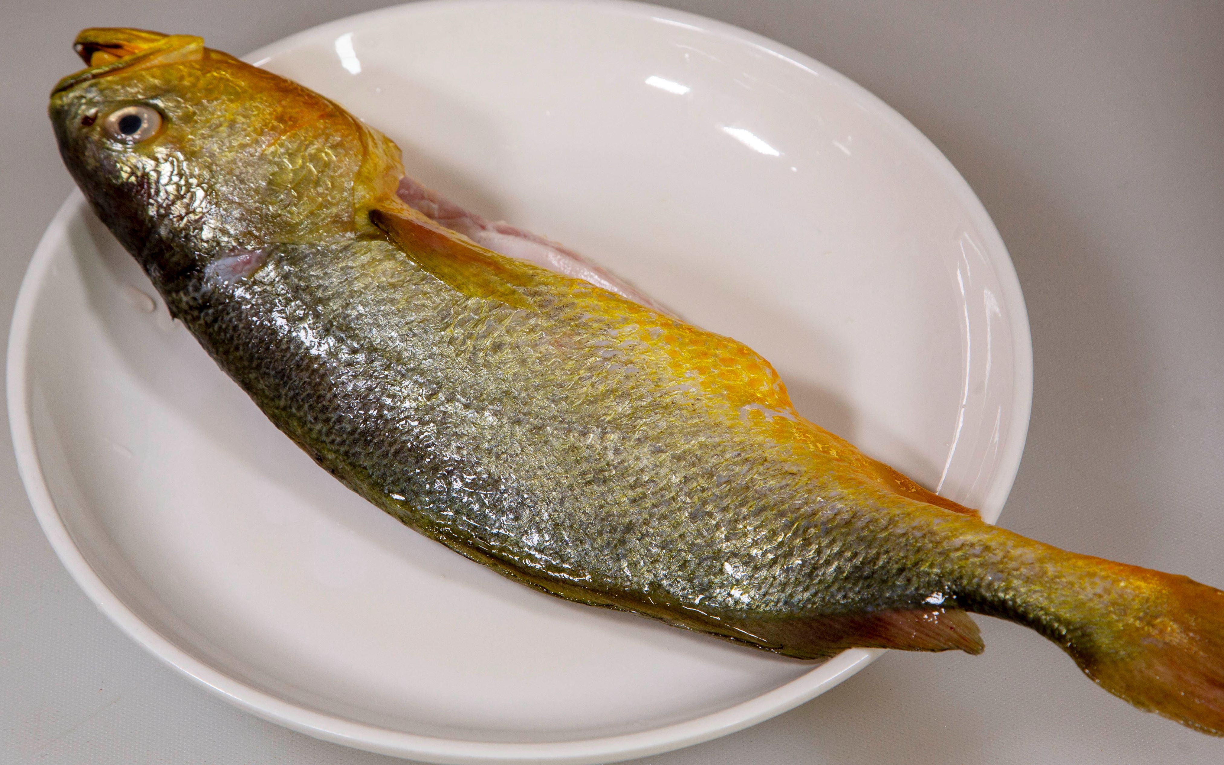 家常黄鱼做法砂锅黄鱼,吃起来暖意洋洋鱼肉鲜嫩,做起来简单方便