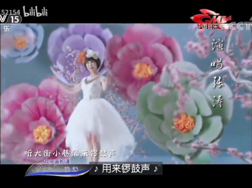 张涛《欢乐喜相逢》mtv