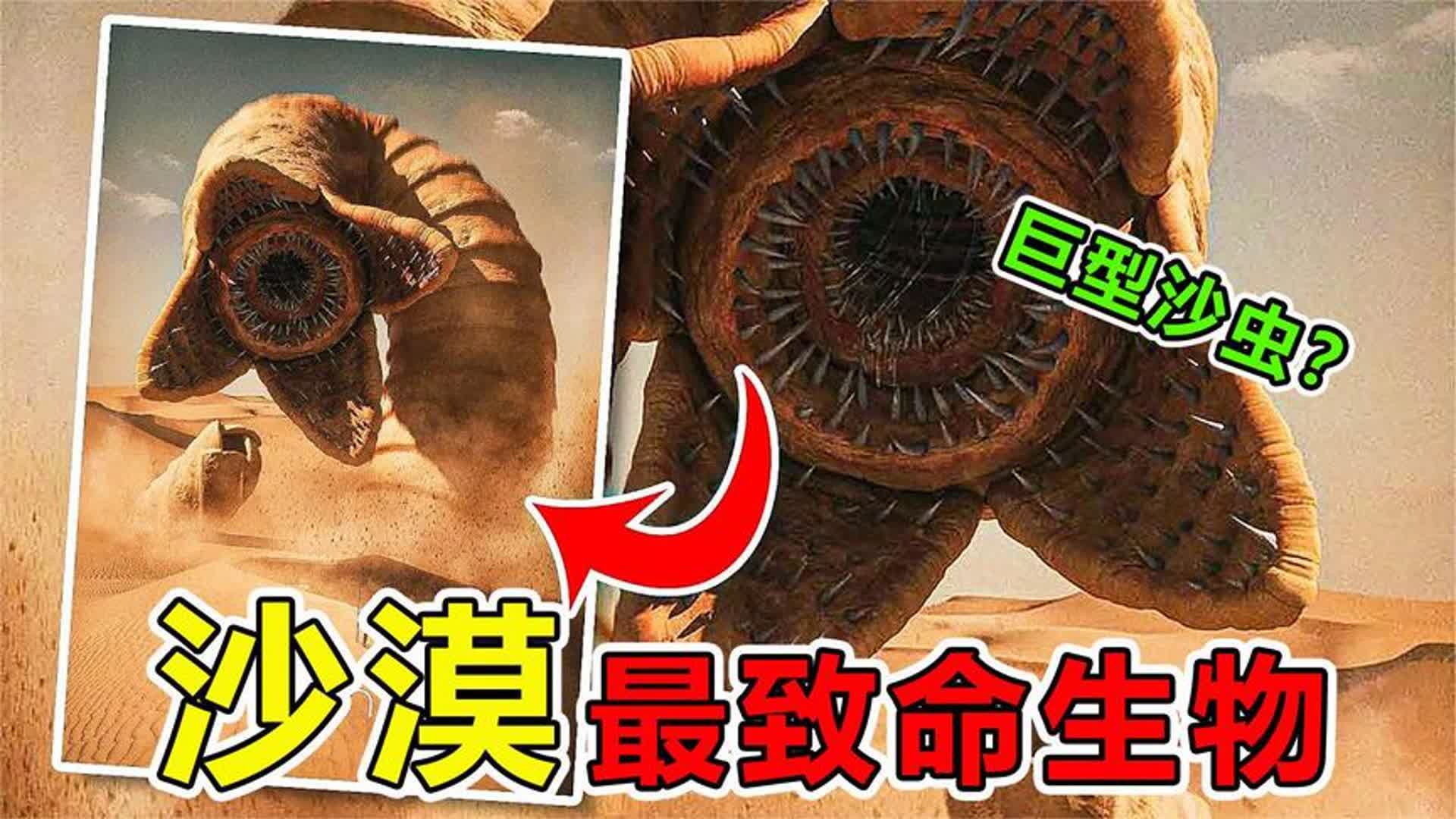 沙漠中“最危险”的10种生物,巨型沙虫,真的存在吗哔哩哔哩bilibili