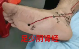 足少阴肾经真人模特讲解