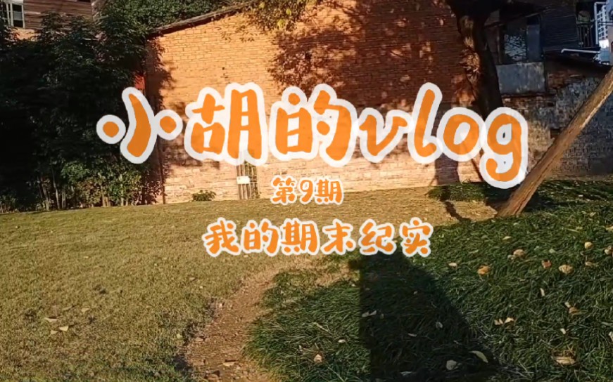 小胡的vlog第九期哔哩哔哩bilibili