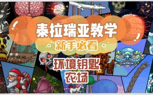 Download Video: 泰拉瑞亚：老哥一本正经的讲，环境钥匙农场搭建