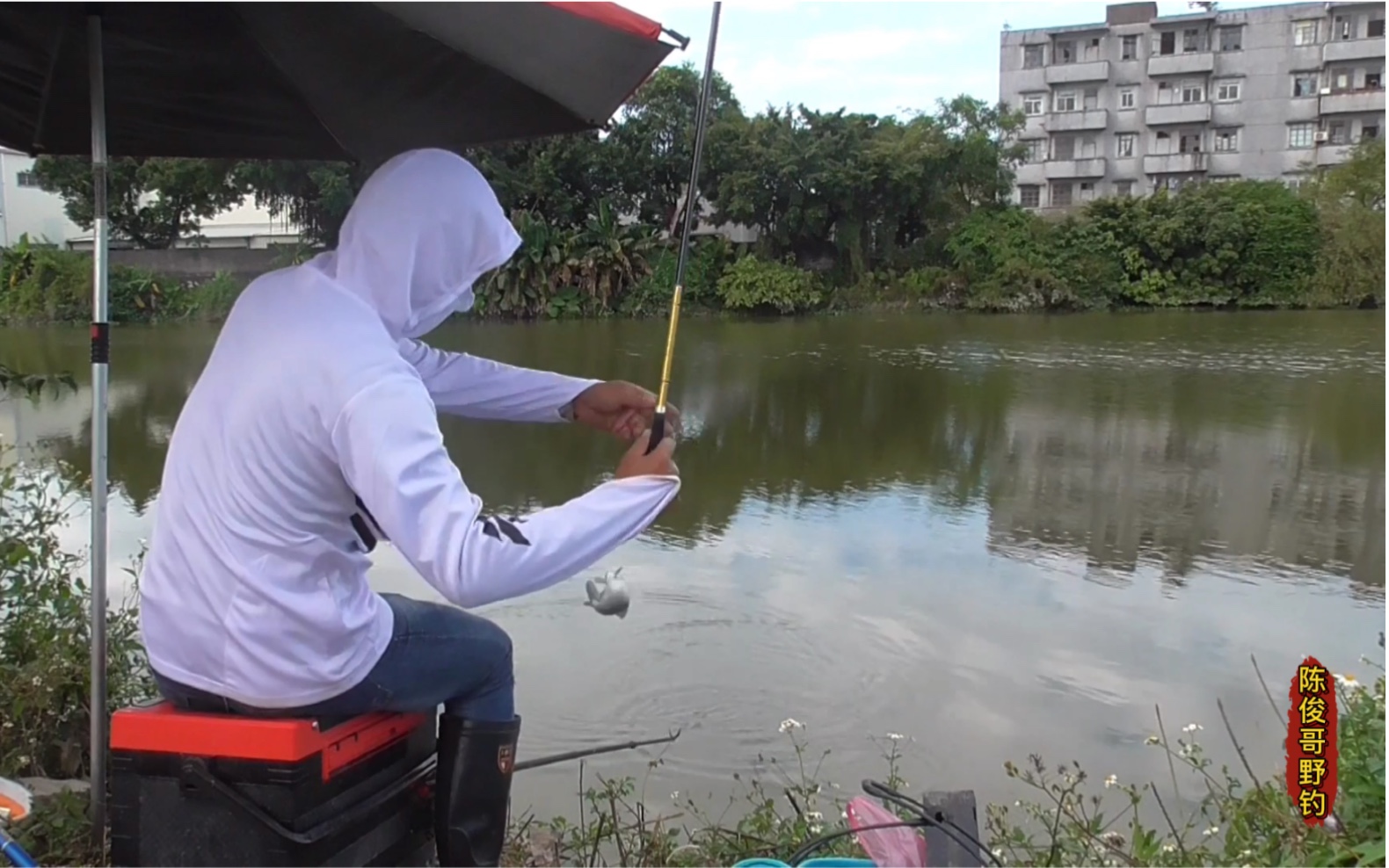 这里的人都讨厌鲫鱼吗可以用泛滥形容了这都没人钓