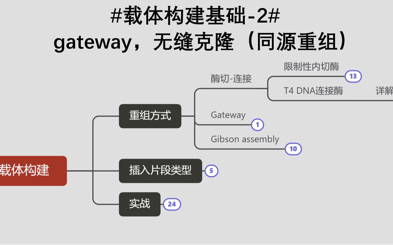 #载体构建基础2#Gateway,无缝克隆(同源重组)哔哩哔哩bilibili