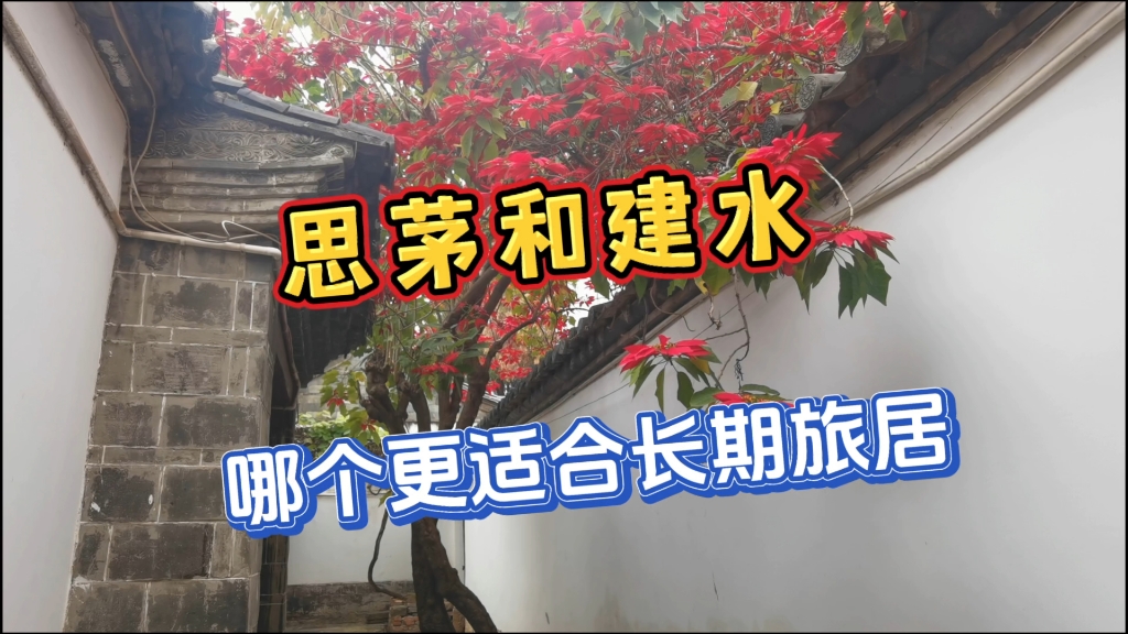 思茅和建水,哪个更适合您去长期旅居哔哩哔哩bilibili