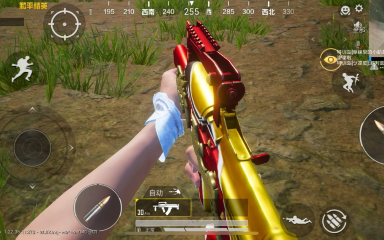 和平精英 groza 梨园星光 突击步枪 皮肤