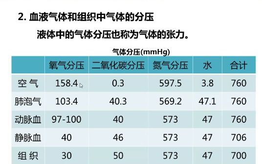 S7生理学网课(下)哔哩哔哩bilibili