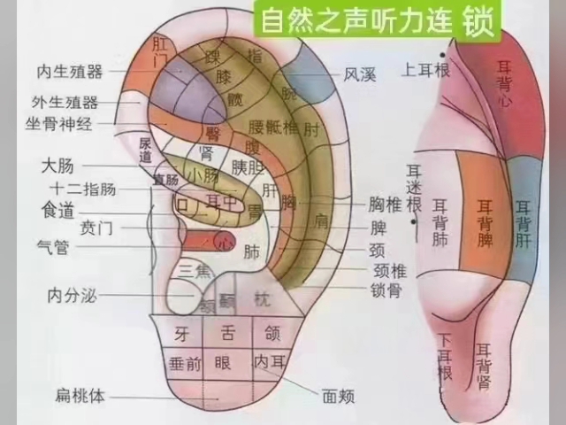 耳朵按摩及图解图片