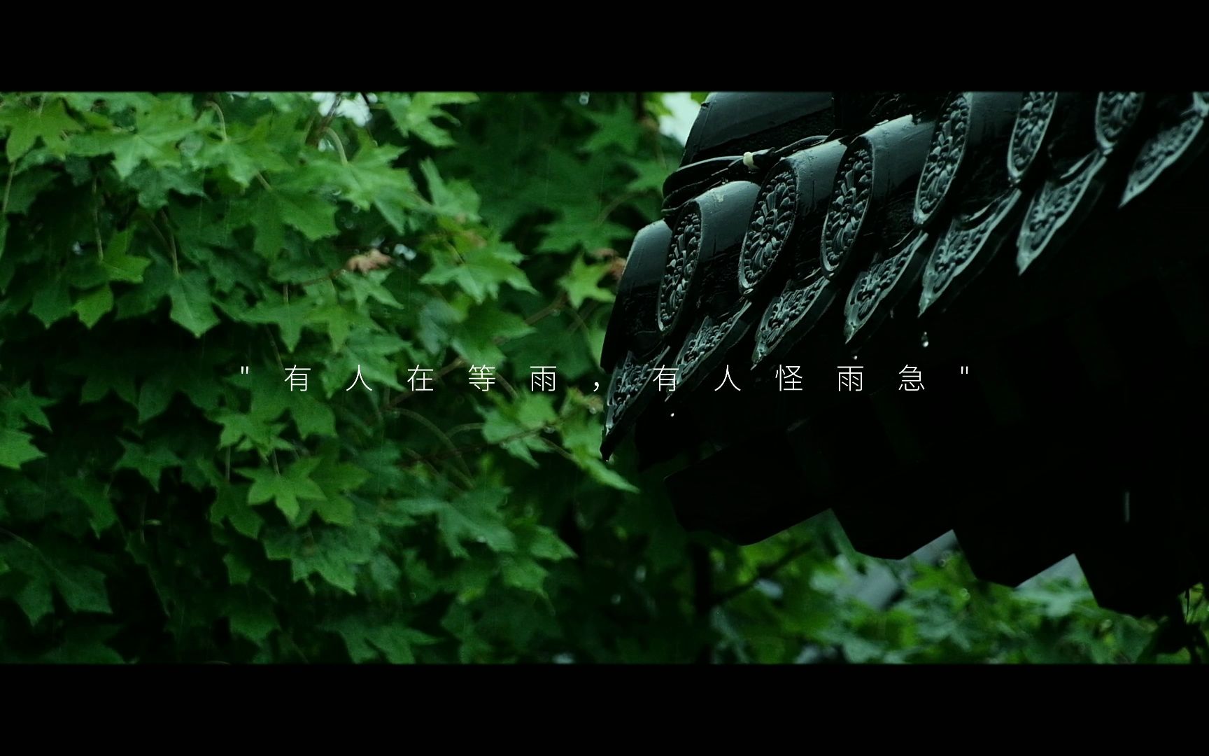 "有人等烟雨,有人怪雨急"