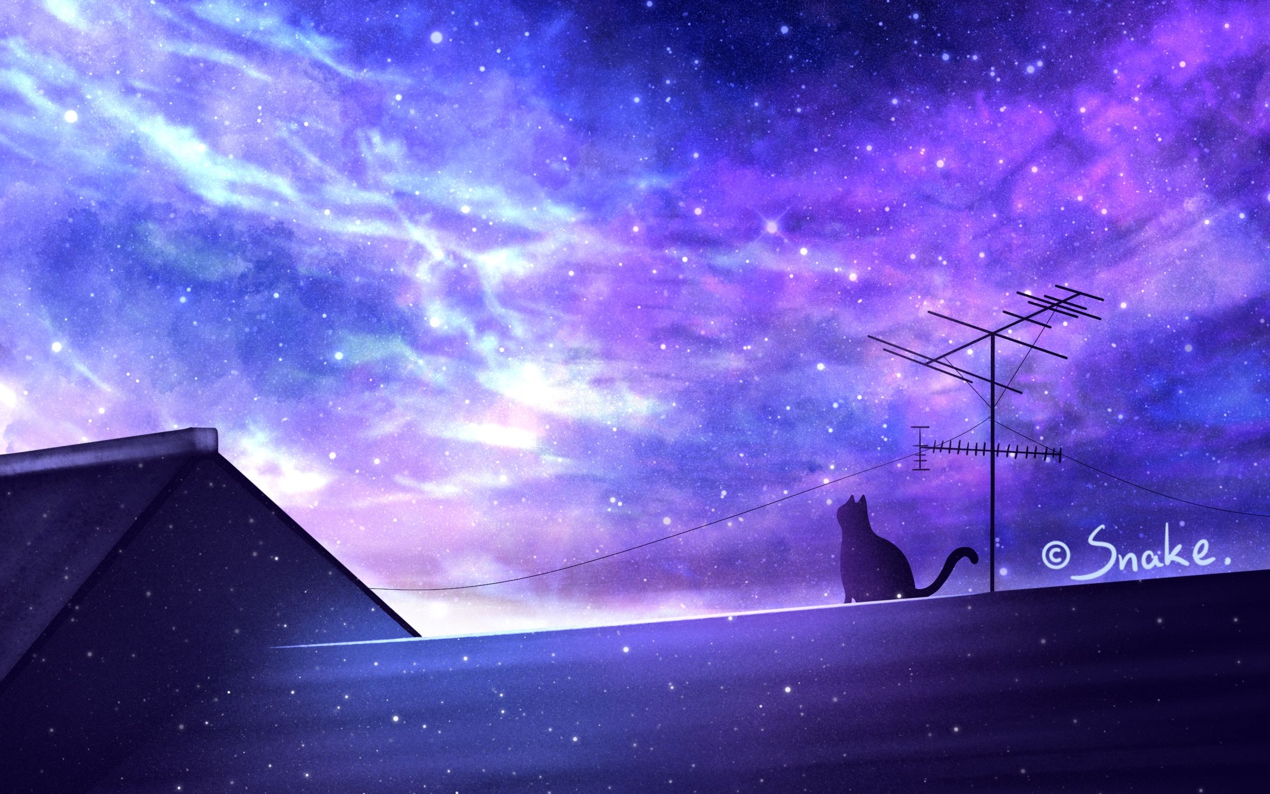 【procreate】屋顶上的猫咪,星空图