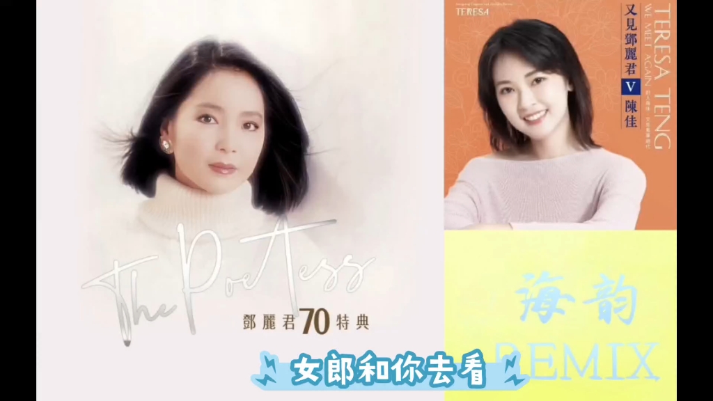 邓丽君 —海韵remix