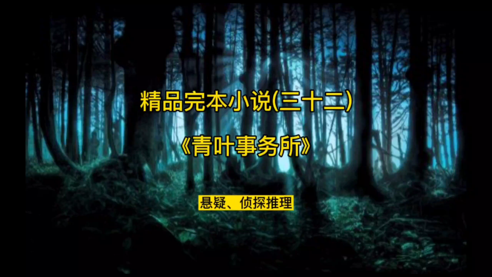 “一个奇怪的事务所,一个藏在现世下怪诞又恐怖的世界.” 悬疑推理小说《青叶事务所》哔哩哔哩bilibili