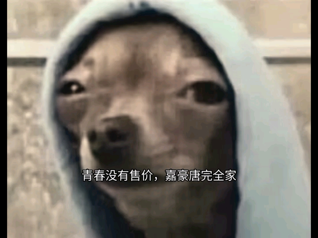 嘉豪传奇哔哩哔哩bilibili