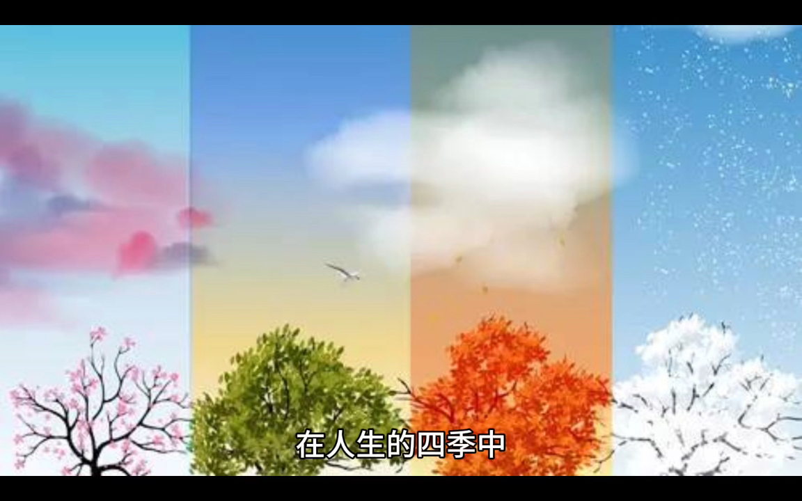 人生四季,寒暑交替,静心体味生活的悲与喜,笑看起起落落.