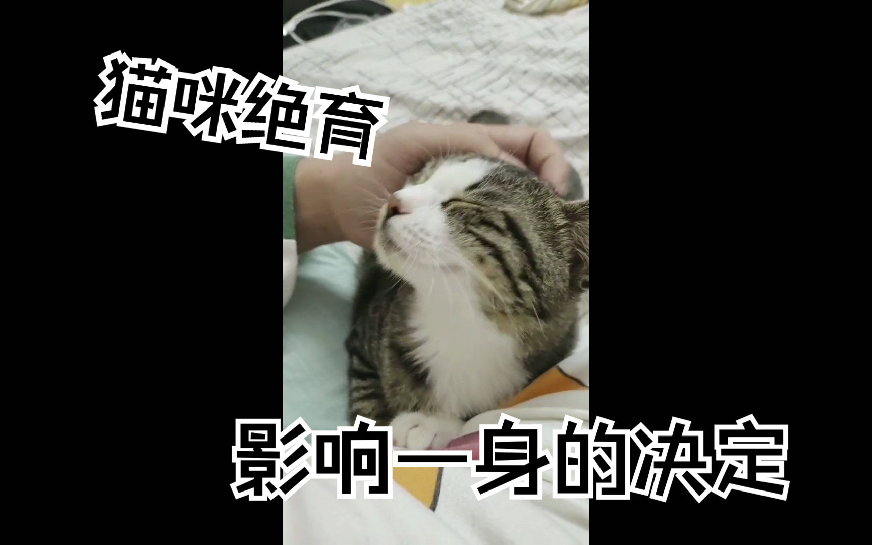 【新手养猫科普】猫咪真的需要做绝育吗?哔哩哔哩bilibili